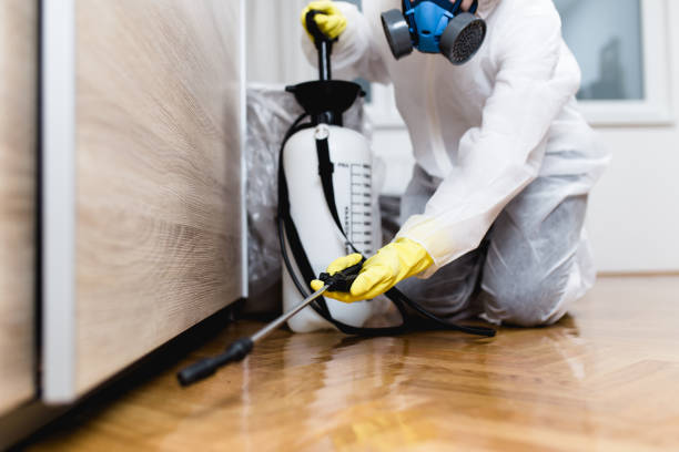 Trusted Athens, AL Pest Control Experts