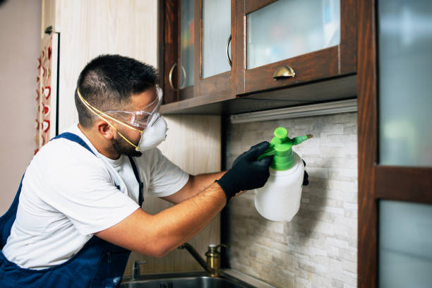 Best Pest Control Near Me in Athens, AL