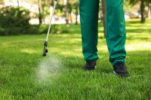 Best Residential Pest Control  in Athens, AL