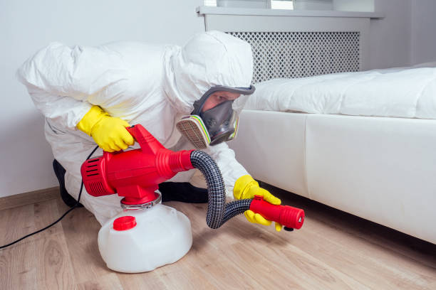 Best Insect Control  in Athens, AL