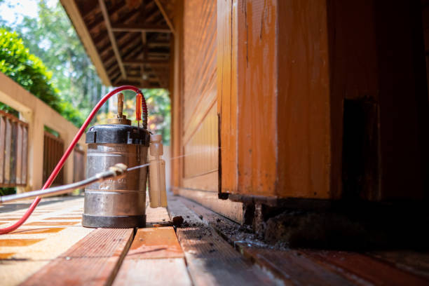 Best Affordable Pest Control Services  in Athens, AL