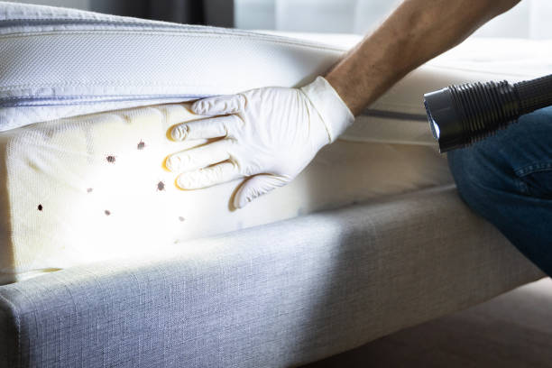 Best Pest Prevention Services  in Athens, AL