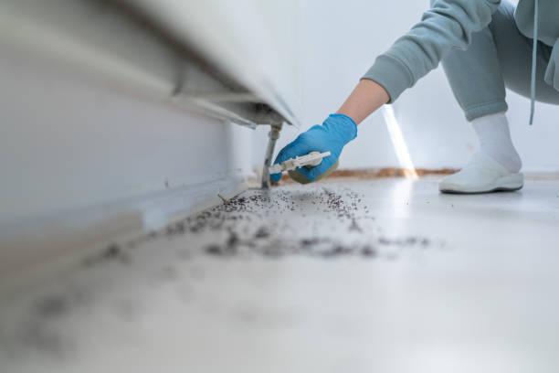 Best Wasp Removal Services  in Athens, AL