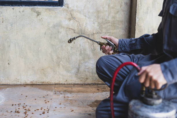 Best Mosquito Control Services  in Athens, AL